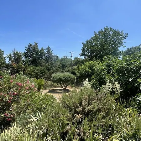 Villa Maison Confortable Avec Jardin A - Fr-1-822-2 *